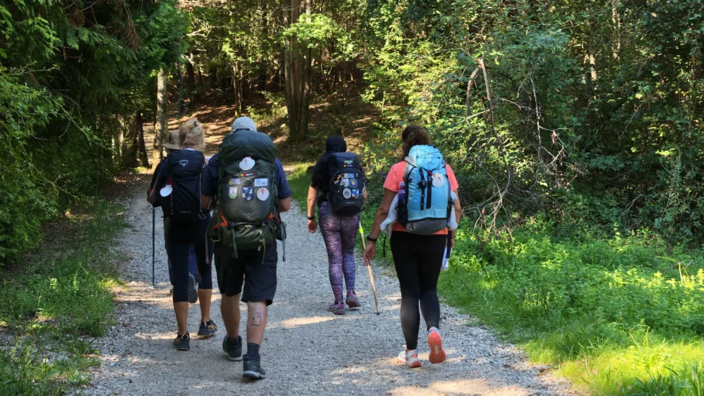What to pack in trail walking events