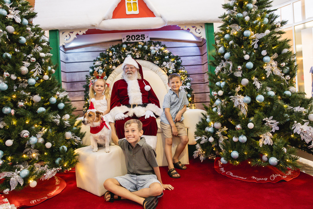 Ultimate Guide to Christmas in Noosa 2025