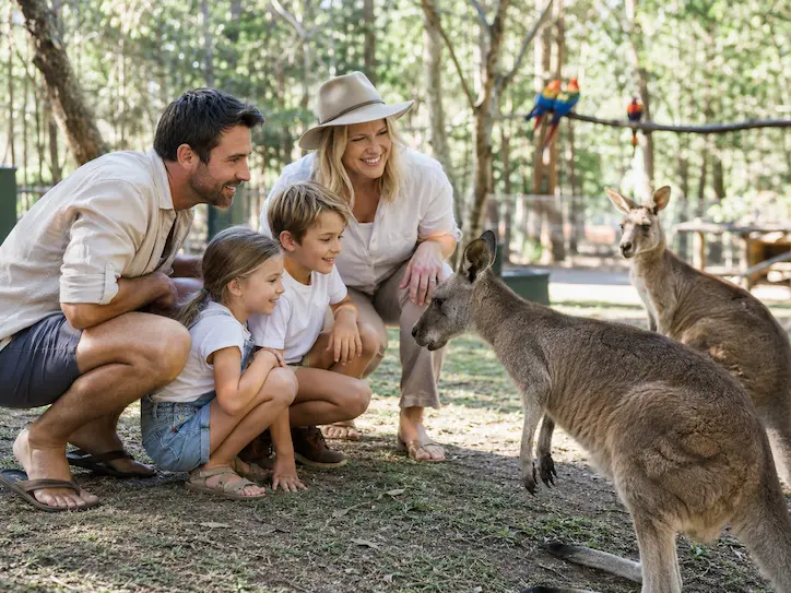 Family watching Australian wildlife during a kid-friendly day trip from Noosa.